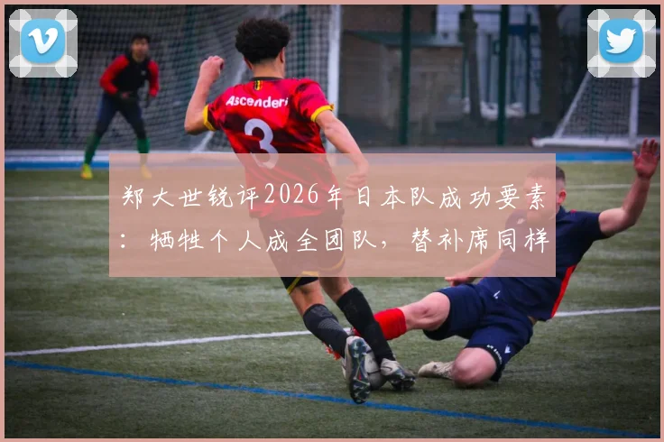 郑大世锐评2026年日本队成功要素：牺牲个人成全团队，替补席同样暗藏杀机